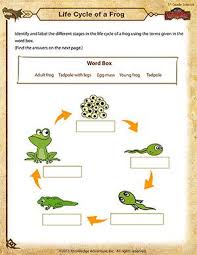 Life Cycle Of A Frog Free 5th Grade Science Worksheet Life Cycles Science Worksheets Plant Life Cycle
