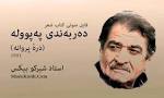 نتیجه تصویری برای دانلود اهنگ لری پروانه پروانه پروانه غمگینه