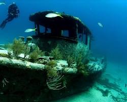 Shipwrecks of Freeport on Grand Bahama Island