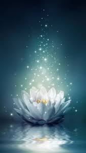 Lotus Flower Wallpaper Iphone 608x1072 Wallpaper Teahub Io Download all photos and use them even for commercial projects. lotus flower wallpaper iphone