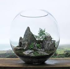 Terrariums Garden Terrarium Terrarium Diy Terrarium
