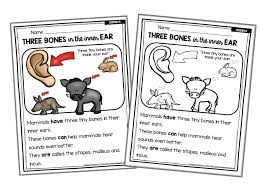 Mammals such as chimpanzees and elephants live in tropical regions. Mammals Science Unit Free Lesson Keeping My Kiddo Busy