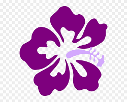 Download in under 30 seconds. Purple Flowers Clipart Illustration Black And White Hibiscus Flower Clip Art Png Download 253008 Pikpng