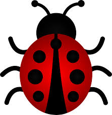 Free Ladybug Cliparts, Download Free Clip Art, Free Clip Art on ...