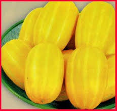 Seeds For Tropical Vegetables Cantaloupe And Melon Fruit Melon