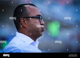 Surian hi-res stock photography and images