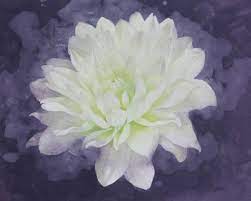 ダリア art illustration drawing スケッチ 絵 アート 鉛筆 水彩 水彩画 イラスト ダリア 花 sketch watercolor dahlia 花 イラスト イラスト 花