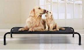 Check spelling or type a new query. Brandine Per Cani Di Taglia Grande Con Doghe Brandine Per Cani Di Taglia Grande Con Doghe Bedsure Questa Brandina Per Cani E Facile Da Pulire Semplicemente Sfregando La