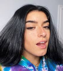 The tiktok star is once again denying that she is a dixie later tweeted, apologizing for her disgusting timing. she also took to instagram to discuss the situation. Dixie D Amelio Shocked By Sebastian Topete S Insane Tattoo Of Her Dexerto