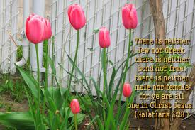 Check spelling or type a new query. 48 Spring Wallpaper With Bible Verses On Wallpapersafari
