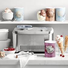 Cuisinart ice cream maker cookbook 2020: Williams Sonoma Ice Cream Starter Vanilla Homemade Ice Cream Williams Sonoma
