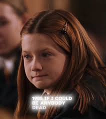 My Mom Was in Harry Potter