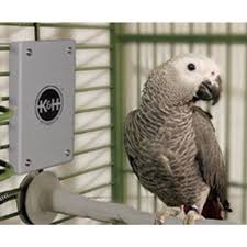 How To Make A Parrot Hospital Cage Parrot Bird Best Pet Birds