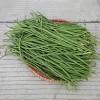 Bring the mung beans and the water to a boil in a pot; Https Encrypted Tbn0 Gstatic Com Images Q Tbn And9gcqrtajonlkhhrp6us9whbwajvlkrol84bfbtumdo1p6gdjsy3ah Usqp Cau