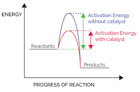 A Catalyst I Increases The Average Kinetic Energy Of Reacting Molecules Ii Decrease The Activation Energy Iii Alters The Reaction Mechanism Iv Increases The Frequency Of Collisions Of Reacting Species The True Statements Are