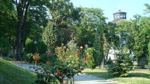 A gyógy téren felállított nagyszínpadon operagála lesz, amelyen világhírű darabokból csendülnek fel részletek, egy nappal előbb pedig a magyar állami operaház művészei adnak műsort. 5ovofxibh2oshm