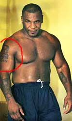 4.5 out of 5 stars 49. Mike Tyson Tattoo Bodysstyle