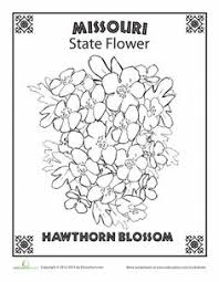 California state symbols coloring pages. 43 Missouri State Study Ideas Missouri State Missouri Missouri State History
