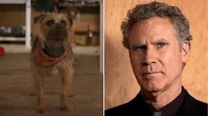 Strays Trailer Stars Will Ferrell as a Revenge-Seeking Terrier