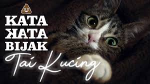 6 kata kata kangen ibu di kampung. Mabuk Motivasi Sisi Buruk Kata Kata Bijak Halaman 1 Kompasiana Com