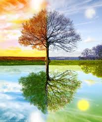 seasons ile ilgili g&Atilde;&para;rsel sonucu