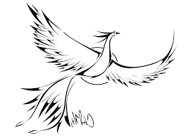 Check spelling or type a new query. Drawing Phoenix The Bird Novocom Top