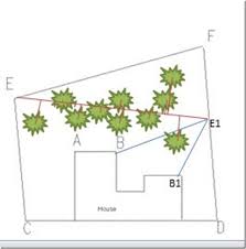 Form holes for each seed. How To Measure A Garden Oxford College Of Garden Design
