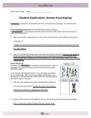 Student exploration human karyotyping answer key. Humankaryotypingse Geiger Name Kyle Geiger Date Student Exploration Human Karyotyping Vocabulary Autosome Chromosomal Disorder Chromosome Course Hero