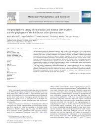 Image result for Mitrasacmopsis quadrivalvis