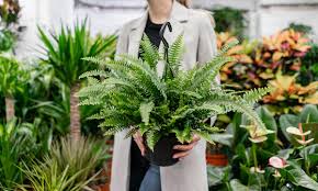 Maybe you would like to learn more about one of these? Where To Buy Plants During Lockdown Online Garden Centres That Are Open Hello