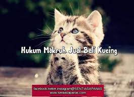 Apa hukum jual beli kucing ? Hukum Makruh Jual Beli Kucing Menurut Fatwa Sentiasa Panas