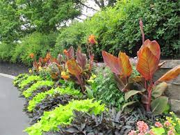 16 Rapturous Botanical Garden Plans Ideas Tropical Garden Design Tropical Landscape Design Tropical Landscaping