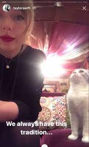 Awww Olivia Looks So Cute In This Pic Taylor Swift Cat Taylor Swift Pictures Long Live Taylor Swift