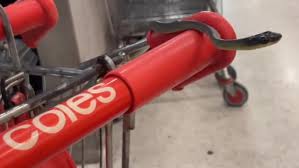 Tattoo identifies alleged invader