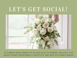 Maybe you would like to learn more about one of these? Wholesale Garden Roses Direct From Our Farm To You