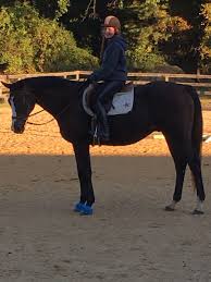 Should that stay in line with my shoulders? How To Teach A New Rider The Proper Basic Balanced Riding Position Pethelpful By Fellow Animal Lovers And Experts