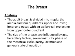 However, these ligaments are flexible and allow for movements in the breast. The Breast Dr Naser El Hammuri Head Of The Department Of Surgery Ppt Video Online Download