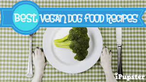 The goal of homemade dog food recipes is to create a balanced diet that beats what you can get in your local pet food aisle. Best Vegan Dog Foods Recipes Reviews 2021
