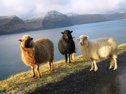 Føroyar, pravdepodobne buď znamená „ovčie ostrovy alebo vzdialené ostrovy) sú skupina malých ostrovov na severe atlantického oceánu medzi škótskom a islandom. Severske Listy Vzhuru Na Faerske Ostrovy