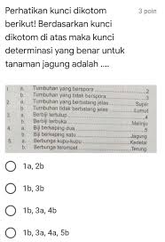 Berikut ini saya mencoba membuat rangkuman materi ipa kelas 7 dibuat berdasarkan buku paket pelajaran ilmu pengetahuan alam (ipa) untuk kelas 7 smp yang diterbitkan oleh kementerian pendidikan dan kebudayaan indonesia. Jawaban Soal Ipa Kelas 7 Tentang Kunci Dikotom Determinasi Ruang Sekolah