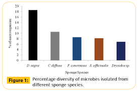 Evaluating The Antibacterial Potential Of Streptomyces Sp