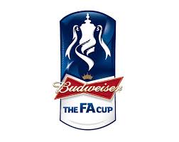 Also fa cup logo png available at png transparent variant. Fa Cup With Budweiser On Behance