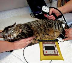 See more ideas about blood pressure monitors, blood pressure, blood. Vmed Technology