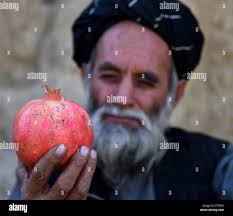 Afghanistan arghandab hi-res stock photography and images