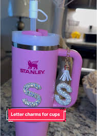 Decorating Stanley Cup Letter Sticker