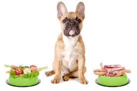 Top 5 Best Pet Foods For Diabetic Canines