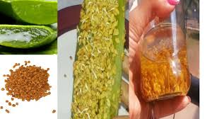 There are many hair oil brands available in market. How To Make Methi Oil At Home Diy Fenugreek Hair Oil Homemade Methi Oil Aloe Oil For Hair Growth Youtube