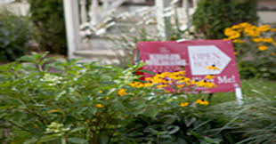 Check out our flower sign selection for the very best in unique or custom, handmade pieces from our signs shops. Farr Is Housing Finally Showing Signs Of Life