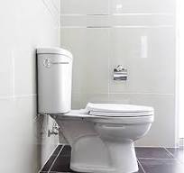 1 pièce de poignée de chasse d'eau en métal, poignée de levier de toilette,  poignée remplaçable pour réservoir d'eau de toilette, convient à la ...