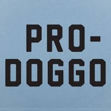 Pro Doggo T Shirt 6 Dollar Shirts